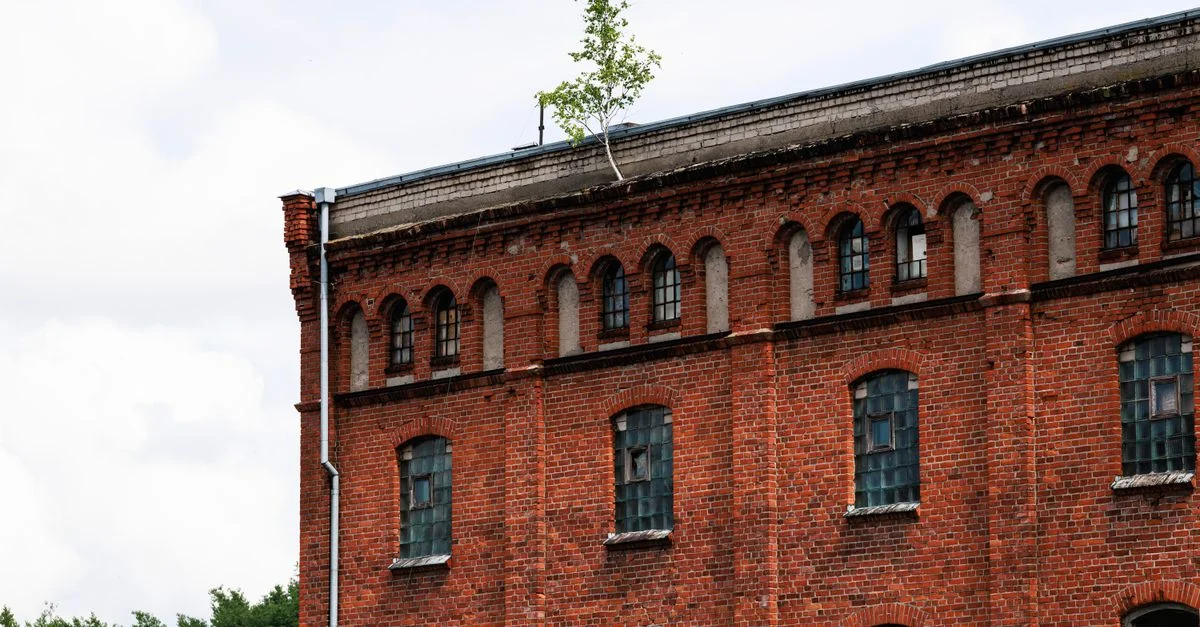Gros plan sur la façade d'un vieux bâtiment industriel en briques rouges, avec des fenêtres usées par le temps et des arbres sur le toit.