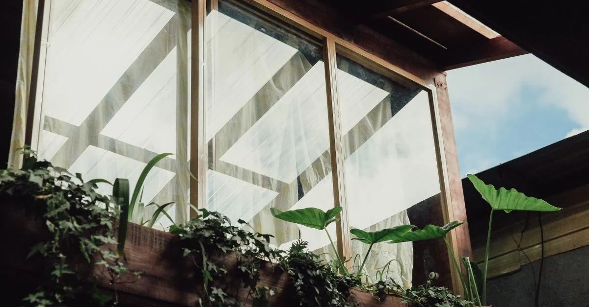 Une vue extérieure charmante d'une maison en bois avec des fenêtres en verre entourée de plantes luxuriantes, mettant en valeur une architecture rustique.
